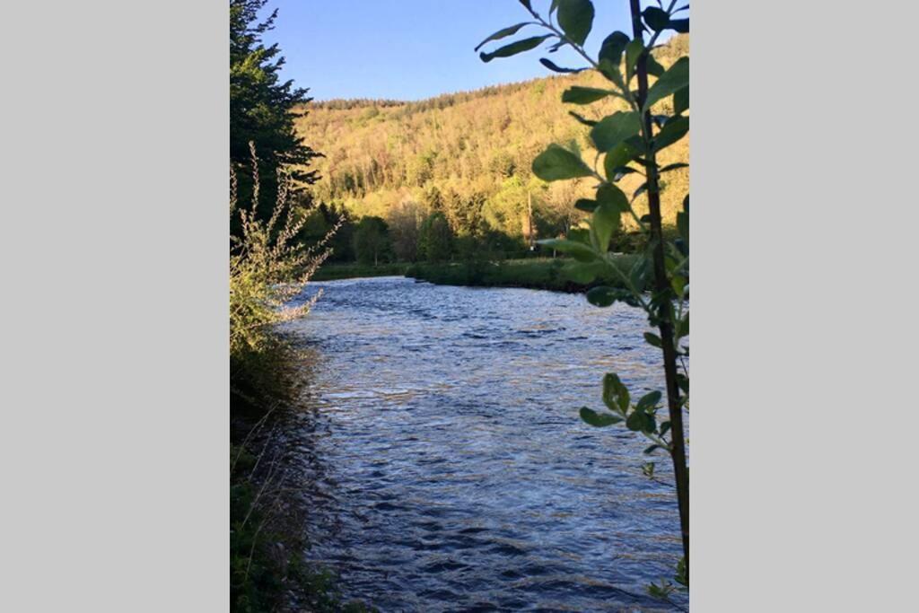 Gite Authentic Ardenne Vresse-sur-Semois Luaran gambar